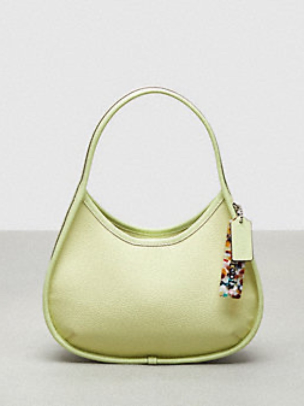 Ergo Bag In Coachtopia Leather